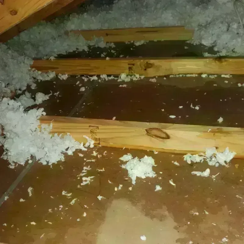 Attic Water Damage in Centerville, OH